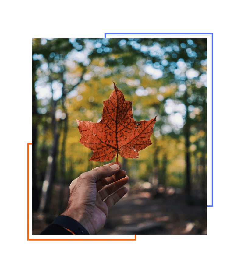 Raange - Le guide canadien des numéros Abrégés (Short Codes) - 768x867